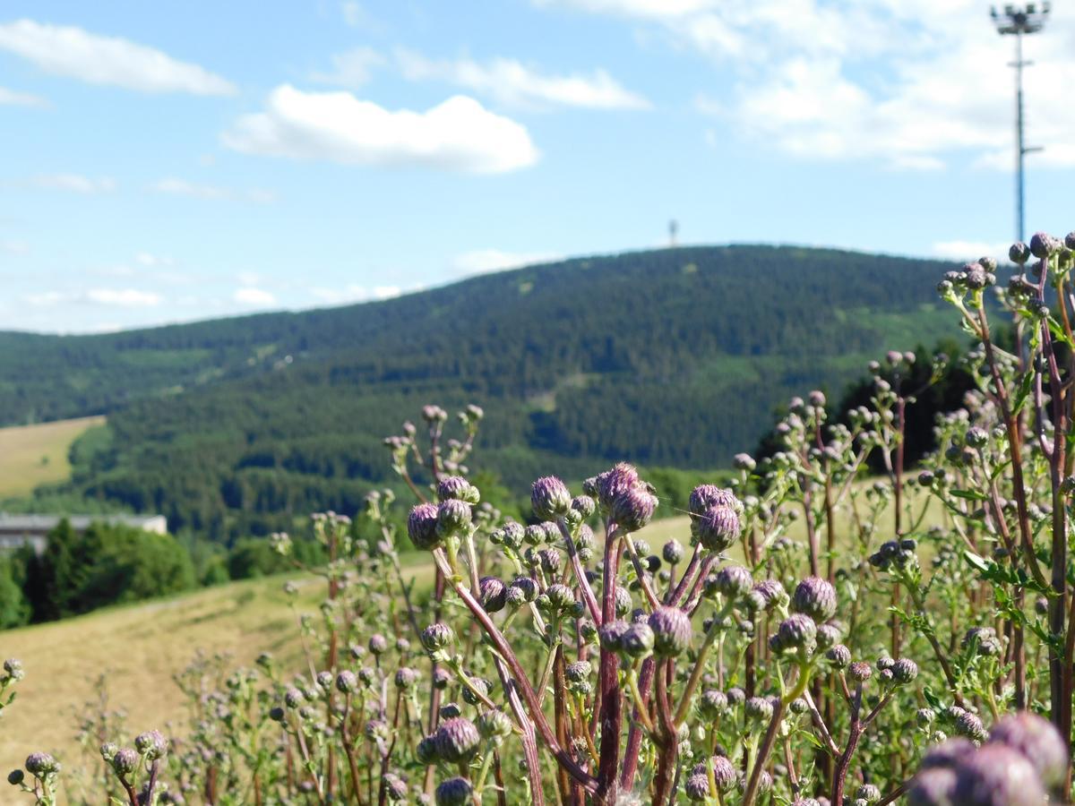 Rathaushotels Oberwiesenthal All Inclusive Екстериор снимка