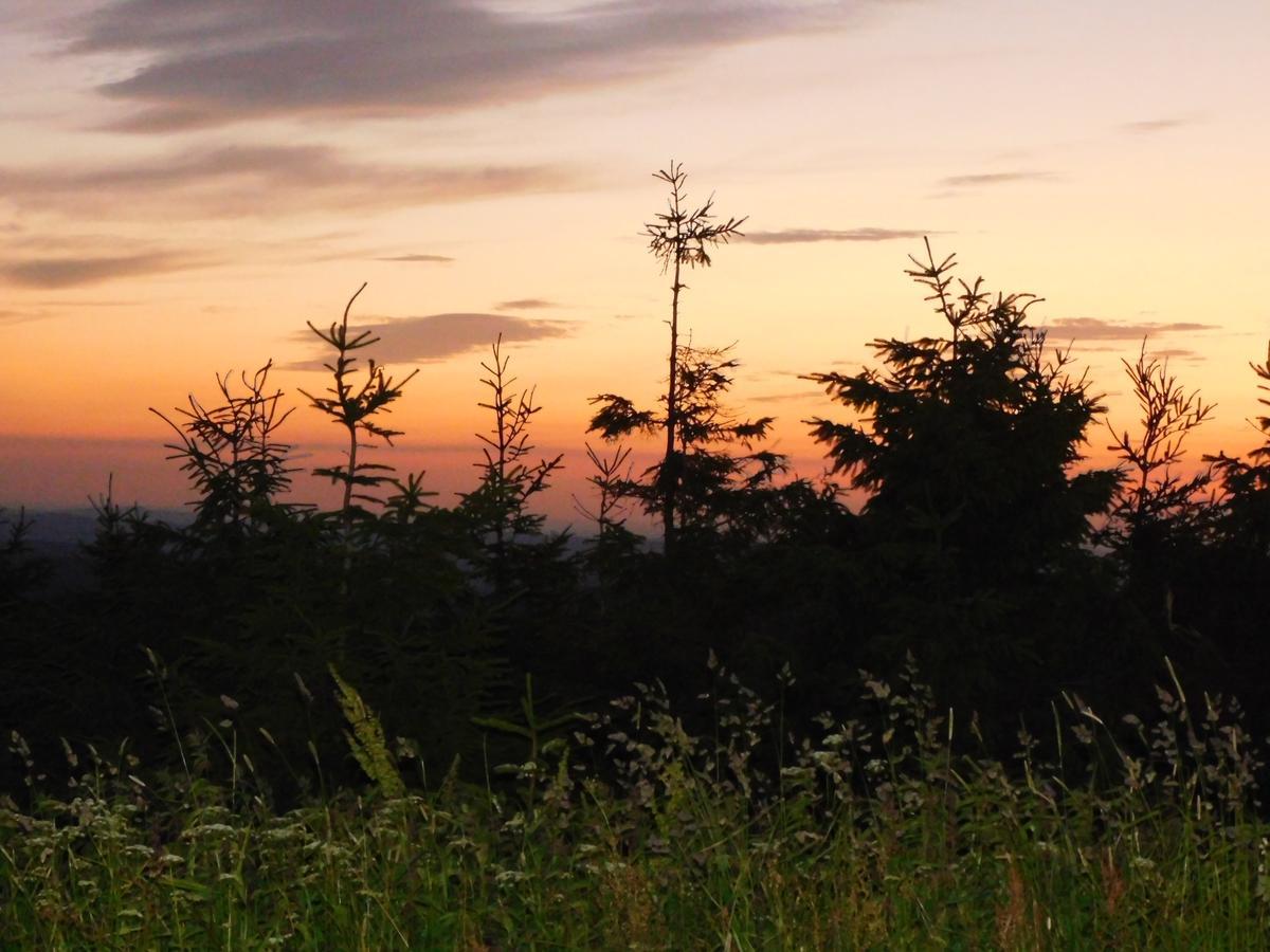 Rathaushotels Oberwiesenthal All Inclusive Екстериор снимка