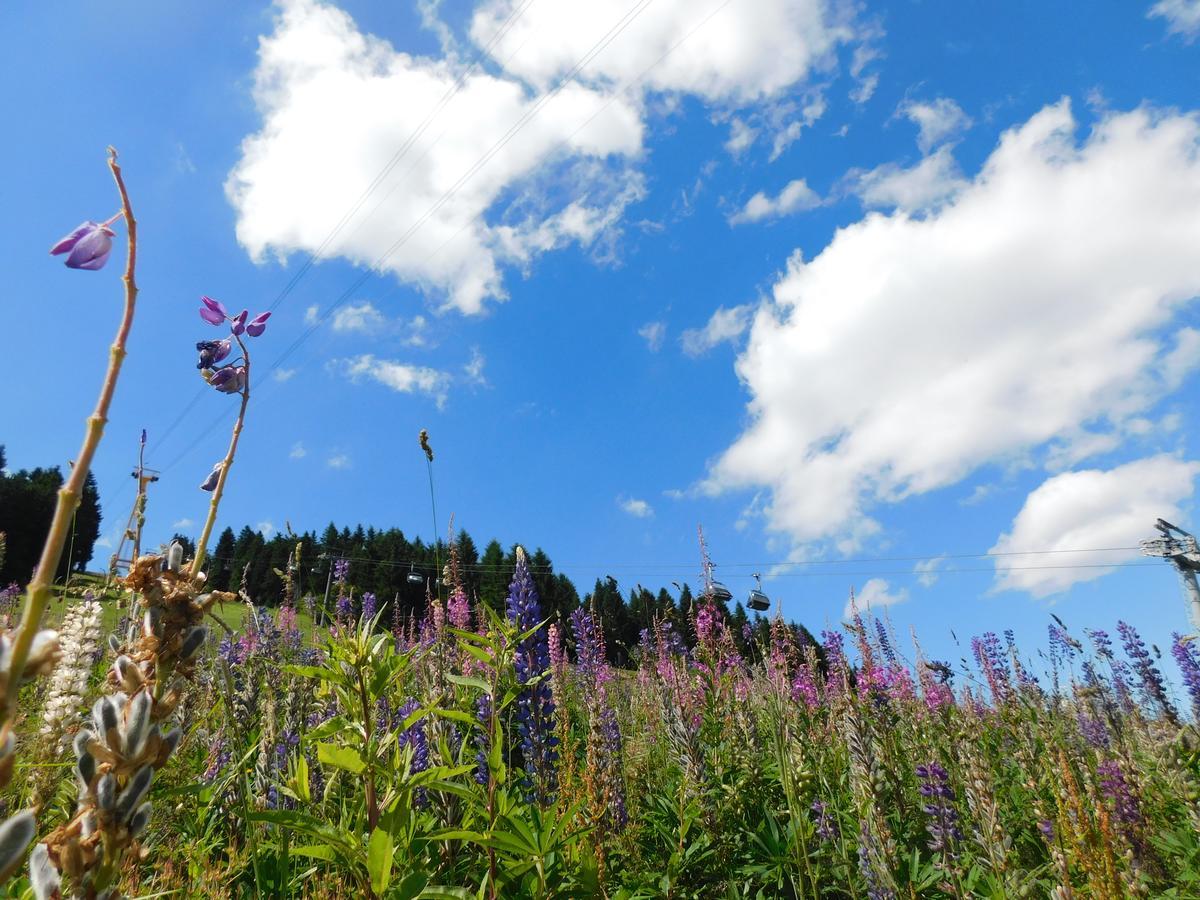 Rathaushotels Oberwiesenthal All Inclusive Екстериор снимка