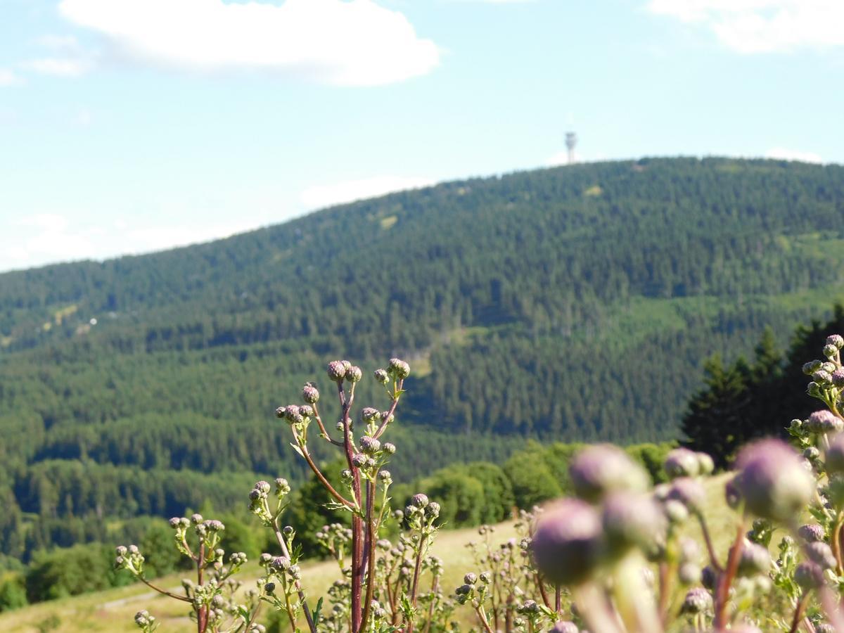 Rathaushotels Oberwiesenthal All Inclusive Екстериор снимка